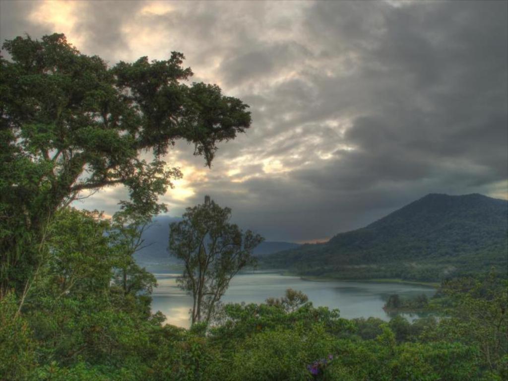 فندق Bukit Kembar Ecotourism Gitgit المظهر الخارجي الصورة